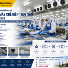 Thi Công Hệ Thống Máy Lạnh Cho Nhà Máy Chế Biến Thủy Hải Sản – Giải Pháp HVAC Đạt Chuẩn Xuất Khẩu