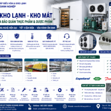 Thi Công Kho Lạnh – Kho Mát – Hệ Thống Điều Hòa Bảo Quản Thực Phẩm & Dược Phẩm