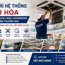 Thi Công Lắp Đặt Máy Lạnh Treo Tường Cho Văn Phòng Kho Vận, Trung Tâm Logistics Và Kho Hàng