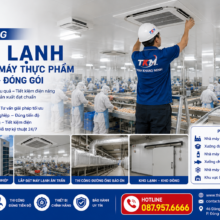 Thi Công Máy Lạnh Cho Nhà Máy Thực Phẩm – Chế Biến – Đóng Gói Đạt Hiệu Quả Cao